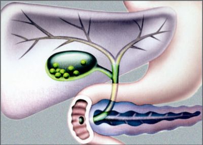 154-155全球肿瘤快讯_页面_29_图像_0001.jpg 154-155全球肿瘤快讯_页面_29_图像_0001.jpg