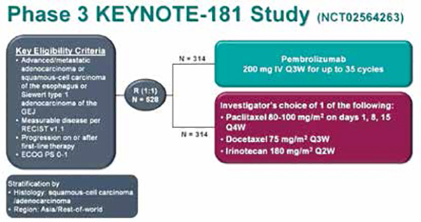 KEYNOTE-181研究帕博利珠单抗食管癌研究引关注