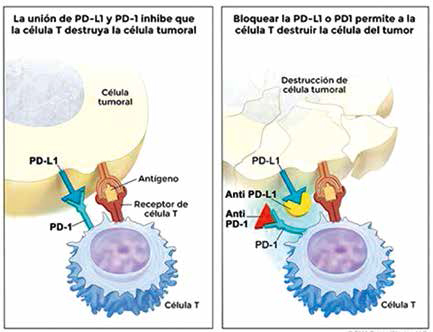 抗PD-1/PD-L1治疗在真实世界中的实况