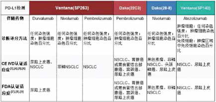 240期《全球肿瘤快讯》-43.jpg