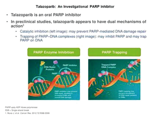 种系BRCA1/2突变的HER2阴性晚期乳腺癌 Talazoparib不优于化疗的生存改善