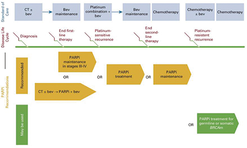 ASCO发布卵巢癌PARP抑制剂治疗指南