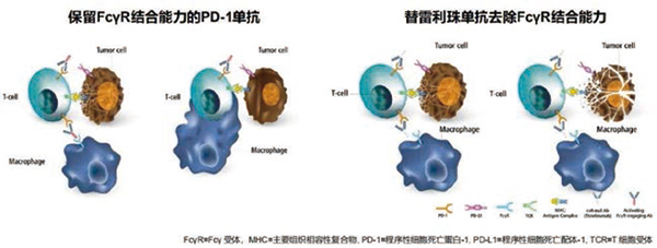 270-271期《全球肿瘤快讯》-57.jpg