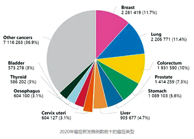 272-273期(完成版)-12.jpg