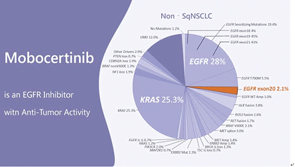 EGFR 20外显子插入突变 Mobocertinib或安全有效