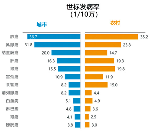 299-300期（完成版）-123.jpg