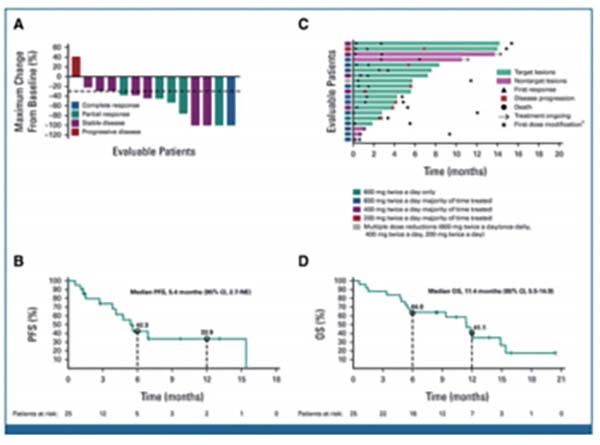 携带KRAS G12C突变的NSCLC Adagrasib对颅内转移有抗瘤活性