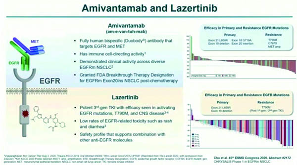 EGFR突变的晚期NSCLC 一线应用Lazertinib相对吉非替尼显著改善颅内结局