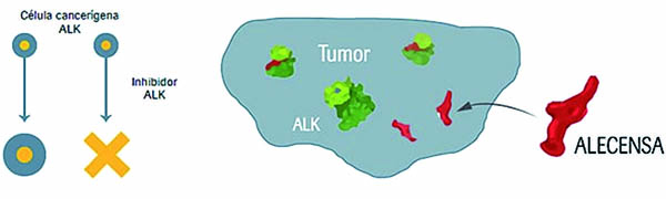 ALK阳性ⅠB~ⅢA期NSCLC 术后阿来替尼对比化疗显著改善DFS 