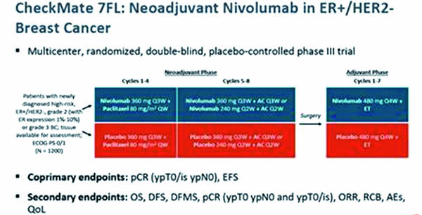ER+/HER2-早期乳腺癌 新辅助化疗添加免疫检查点抑制剂提高pCR率