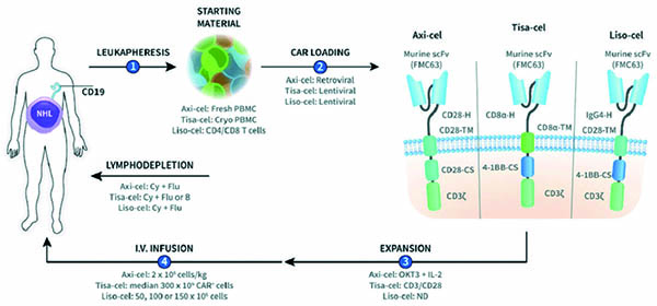 ≥3线治疗复发/难治性LBCL liso-cel有较好的疗效和安全性