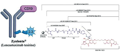 复发或难治性滤泡性淋巴瘤 loncastuximab tesirine联合利妥昔单抗有效