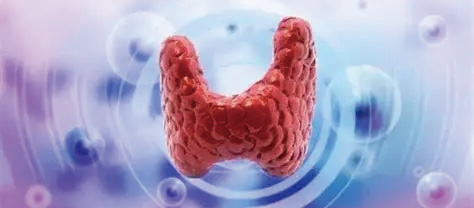 383-384期(完成)-63.jpg 383-384期(完成)-63.jpg