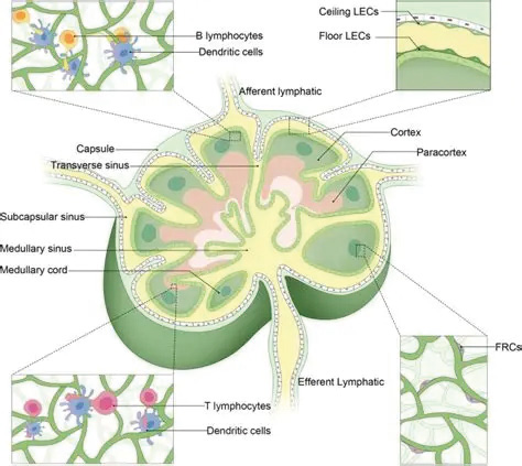 383-384期(完成)-96.jpg 383-384期(完成)-96.jpg
