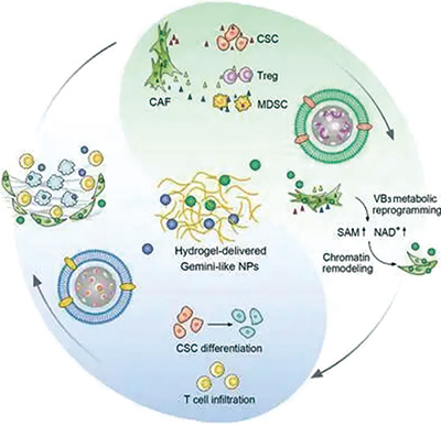 维生素B3可预防皮肤癌，能将新发病风险降低54%