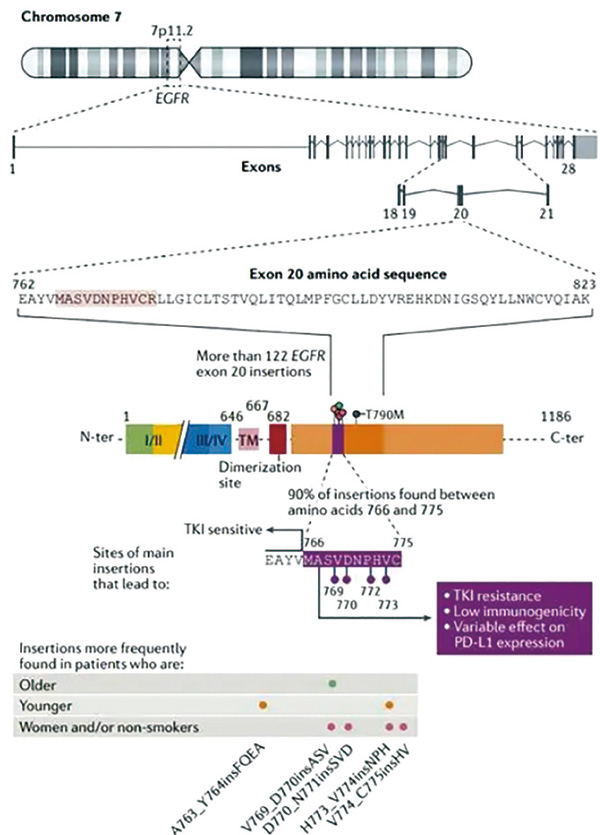 385-386期(完成)-20.jpg 385-386期(完成)-20.jpg
