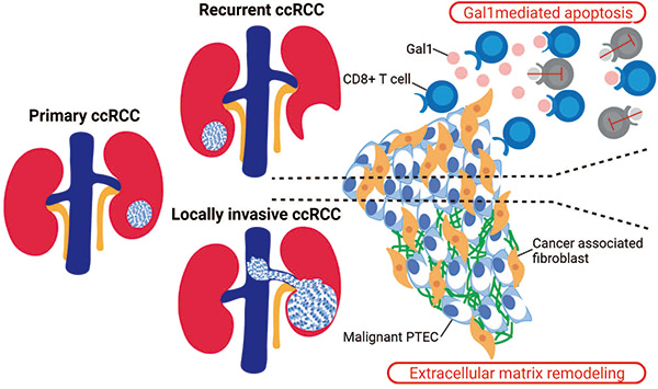 385-386期(完成)-52.jpg 385-386期(完成)-52.jpg