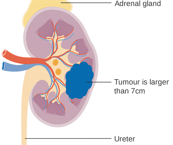 385-386期(完成)-54.jpg 385-386期(完成)-54.jpg