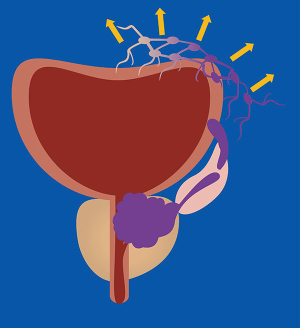 385-386期(完成)-62.jpg 385-386期(完成)-62.jpg