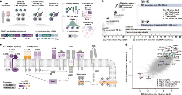 385-386期(完成)-76.jpg 385-386期(完成)-76.jpg