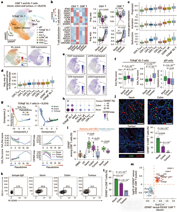 385-386期(完成)-81.jpg 385-386期(完成)-81.jpg