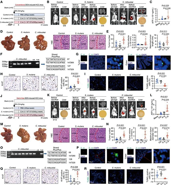385-386期(完成)-86.jpg 385-386期(完成)-86.jpg