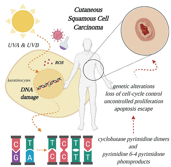 385-386期(完成)-89.jpg 385-386期(完成)-89.jpg