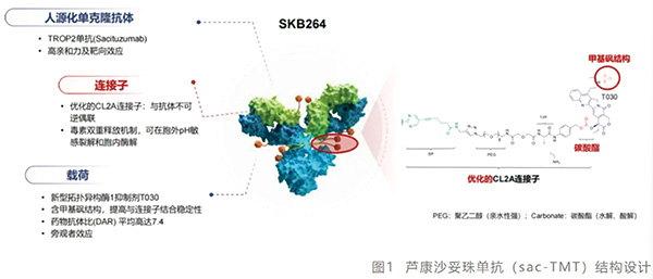 385-386期(完成)-105.jpg 385-386期(完成)-105.jpg