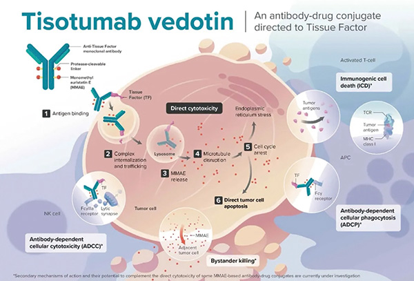 385-386期(完成)-113.jpg 385-386期(完成)-113.jpg