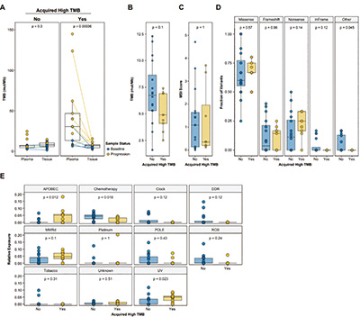微卫星稳定结直肠癌 靶向治疗后的高肿瘤突变负荷未增强免疫治疗敏感性