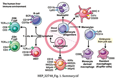 387-388期(完成)(3)-39.jpg 387-388期(完成)(3)-39.jpg
