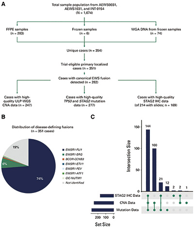 标准治疗的局限性尤因肉瘤 STAG2突变者的复发风险更高