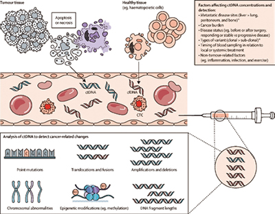 ctDNA在塞来昔布治疗Ⅲ期结肠癌中有预测作用