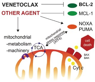 389-390期《全球肿瘤快讯》-81.jpg 389-390期《全球肿瘤快讯》-81.jpg