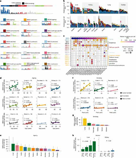 389-390期《全球肿瘤快讯》-86.jpg 389-390期《全球肿瘤快讯》-86.jpg