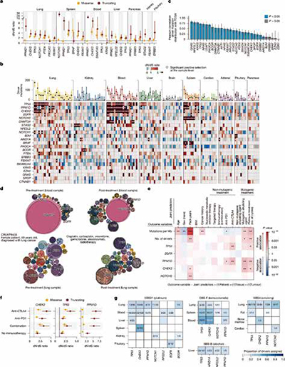 389-390期《全球肿瘤快讯》-87-.jpg 389-390期《全球肿瘤快讯》-87-.jpg