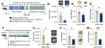 389-390期《全球肿瘤快讯》-90-.jpg 389-390期《全球肿瘤快讯》-90-.jpg