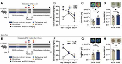389-390期《全球肿瘤快讯》-89-.jpg 389-390期《全球肿瘤快讯》-89-.jpg