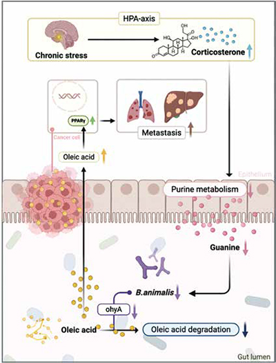 389-390期《全球肿瘤快讯》-91-.jpg 389-390期《全球肿瘤快讯》-91-.jpg