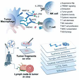 389-390期《全球肿瘤快讯》-97.jpg 389-390期《全球肿瘤快讯》-97.jpg