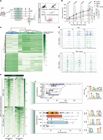 389-390期《全球肿瘤快讯》-98.jpg 389-390期《全球肿瘤快讯》-98.jpg