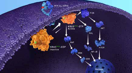 389-390期《全球肿瘤快讯》-23.jpg 389-390期《全球肿瘤快讯》-23.jpg