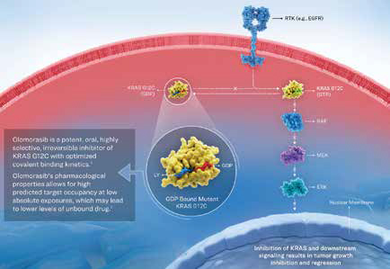 389-390期《全球肿瘤快讯》-24.jpg 389-390期《全球肿瘤快讯》-24.jpg
