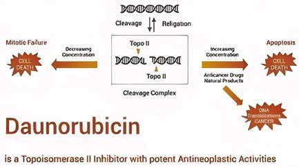 389-390期《全球肿瘤快讯》-76.jpg 389-390期《全球肿瘤快讯》-76.jpg