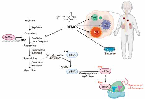389-390期《全球肿瘤快讯》-107.jpg 389-390期《全球肿瘤快讯》-107.jpg