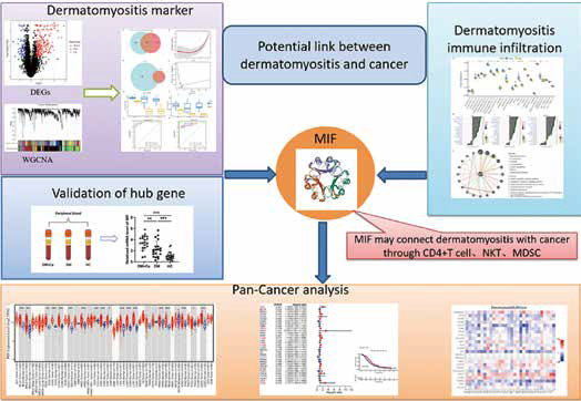 389-390期《全球肿瘤快讯》-109.jpg 389-390期《全球肿瘤快讯》-109.jpg