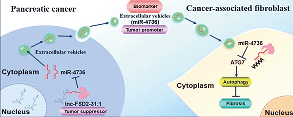 391-392期(完成)-29-.jpg 391-392期(完成)-29-.jpg