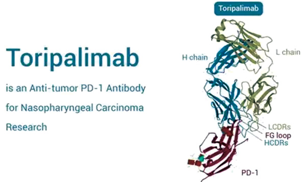 391-392期(完成)-48-.jpg 391-392期(完成)-48-.jpg