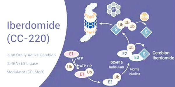 391-392期(完成)-59-.jpg 391-392期(完成)-59-.jpg