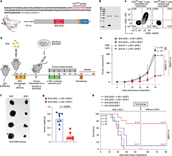 391-392期(完成)-68-.jpg 391-392期(完成)-68-.jpg